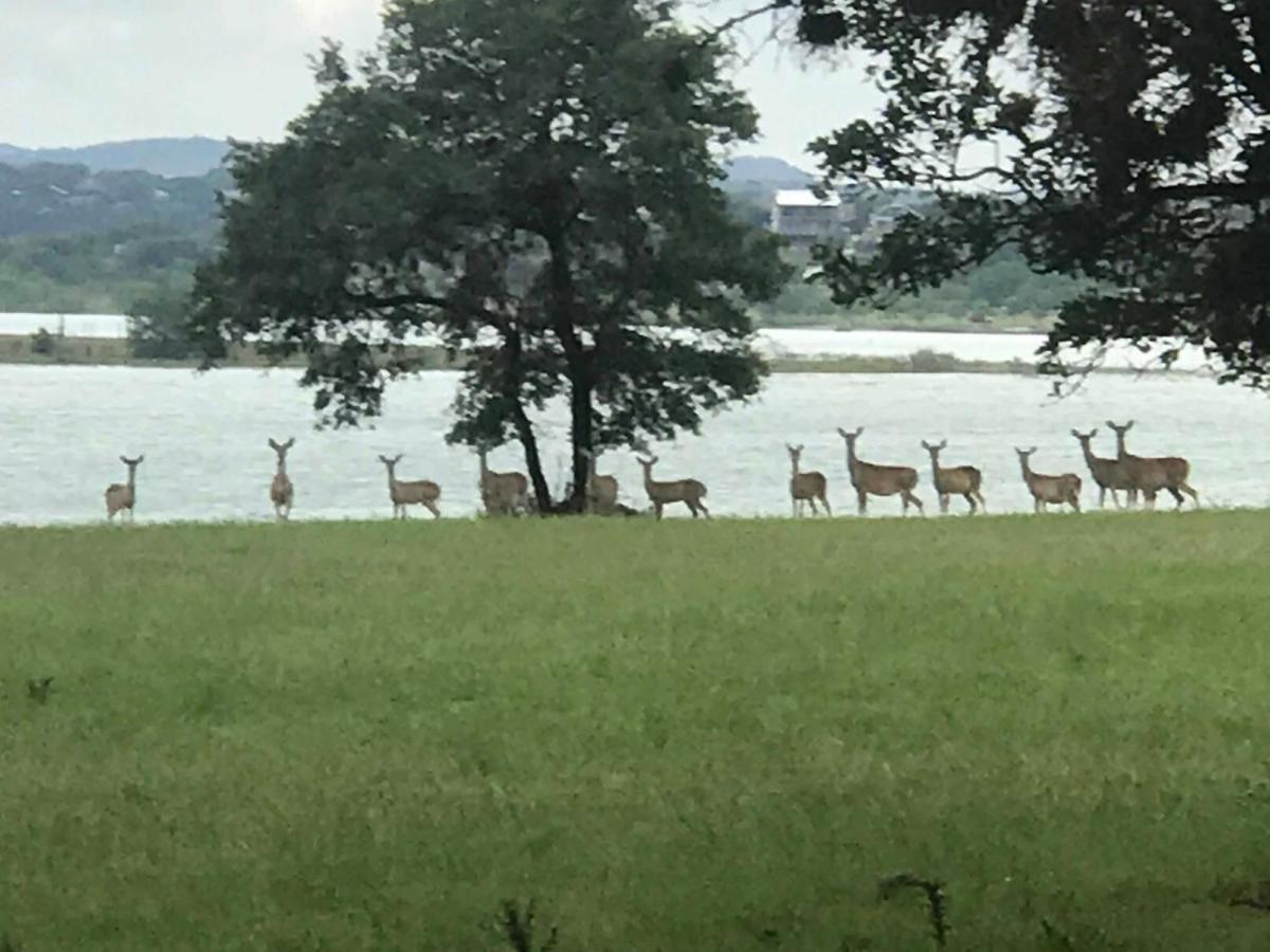 Paradise At Canyon Lake Luaran gambar